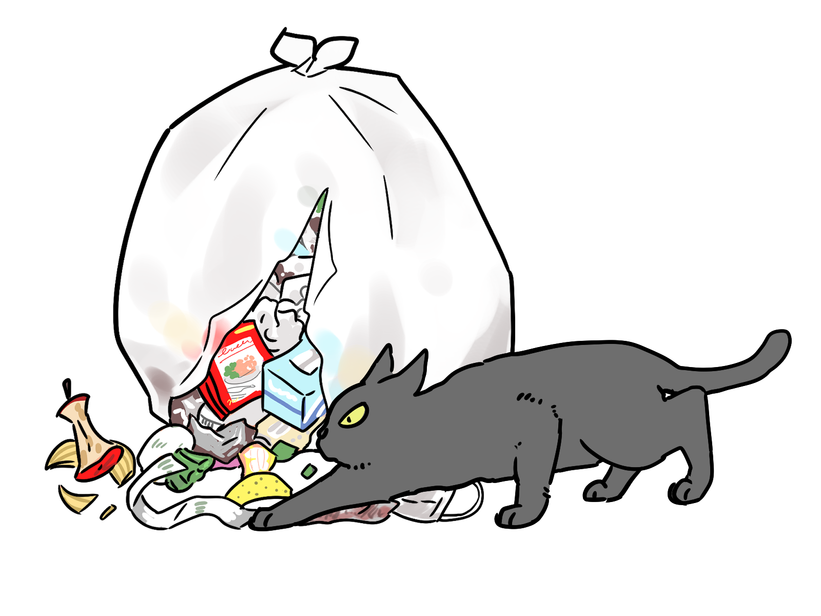 ゴミをあさるネコ