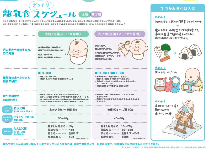 離乳食ざっくりスケジュール(後期・完了期)のチラシ