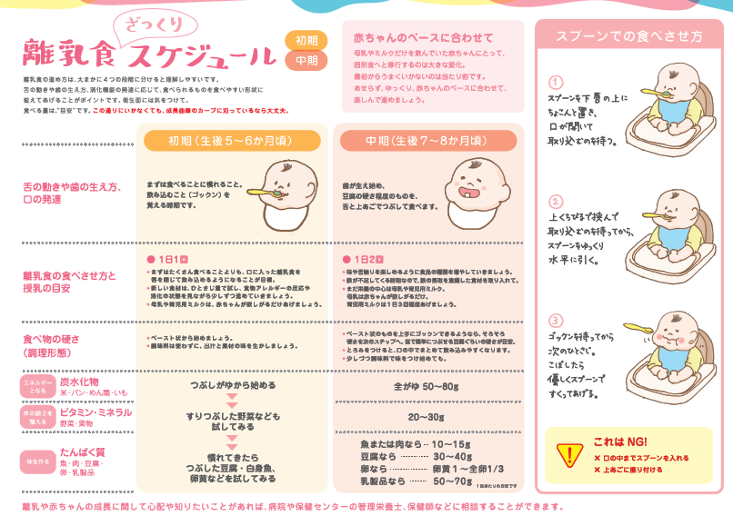 離乳食ざっくりスケジュール(初期・中期)のチラシ