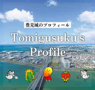 豊見城のプロフィール