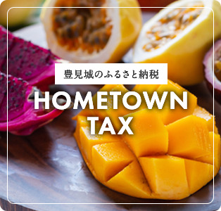 豊見城市のふるさと納税 HOMETOWN TAX