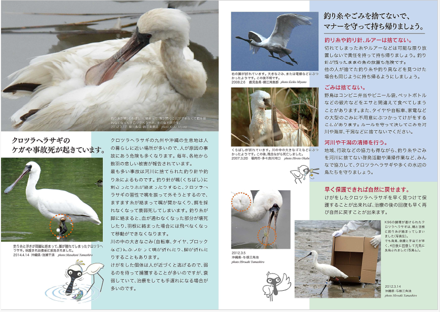 クロツラヘラサギ釣り糸被害防止パンフ22
