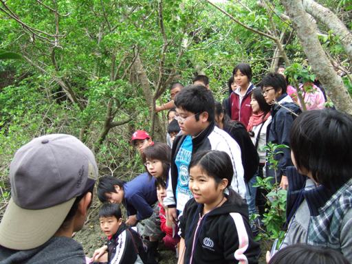 子どもや学生たちが湿地観察会に参加し話を聞いている様子の写真