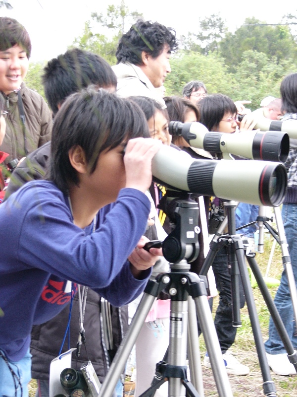 子どもたちが説明を受けながら望遠鏡をのぞき込んでいる野鳥観察会の写真