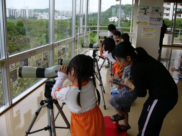 干潟やマングローブ群生地に訪れる野鳥を施設内から望遠鏡で観察している園児たちの写真
