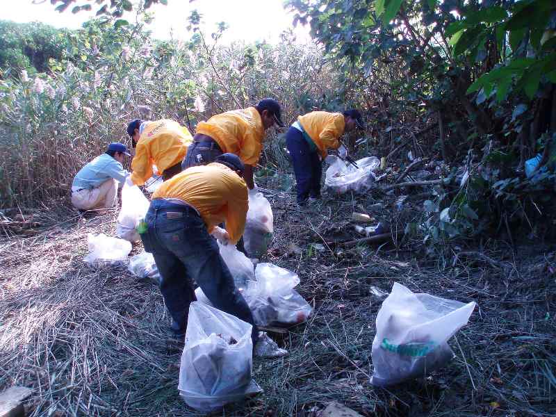 水辺に打ち上げられたゴミや、水が引いた際に残されたゴミを集める黄色い上着を着た清掃作業をしている人たちの写真