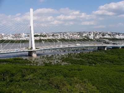 マングローブが生い茂った様子とその上をとおる「とよみ大橋」を遠方から写した写真