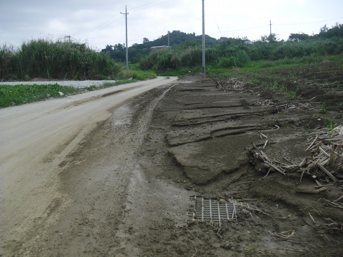 畑の間の道路に湿った土砂や細い木が集まり荒れている様子の写真