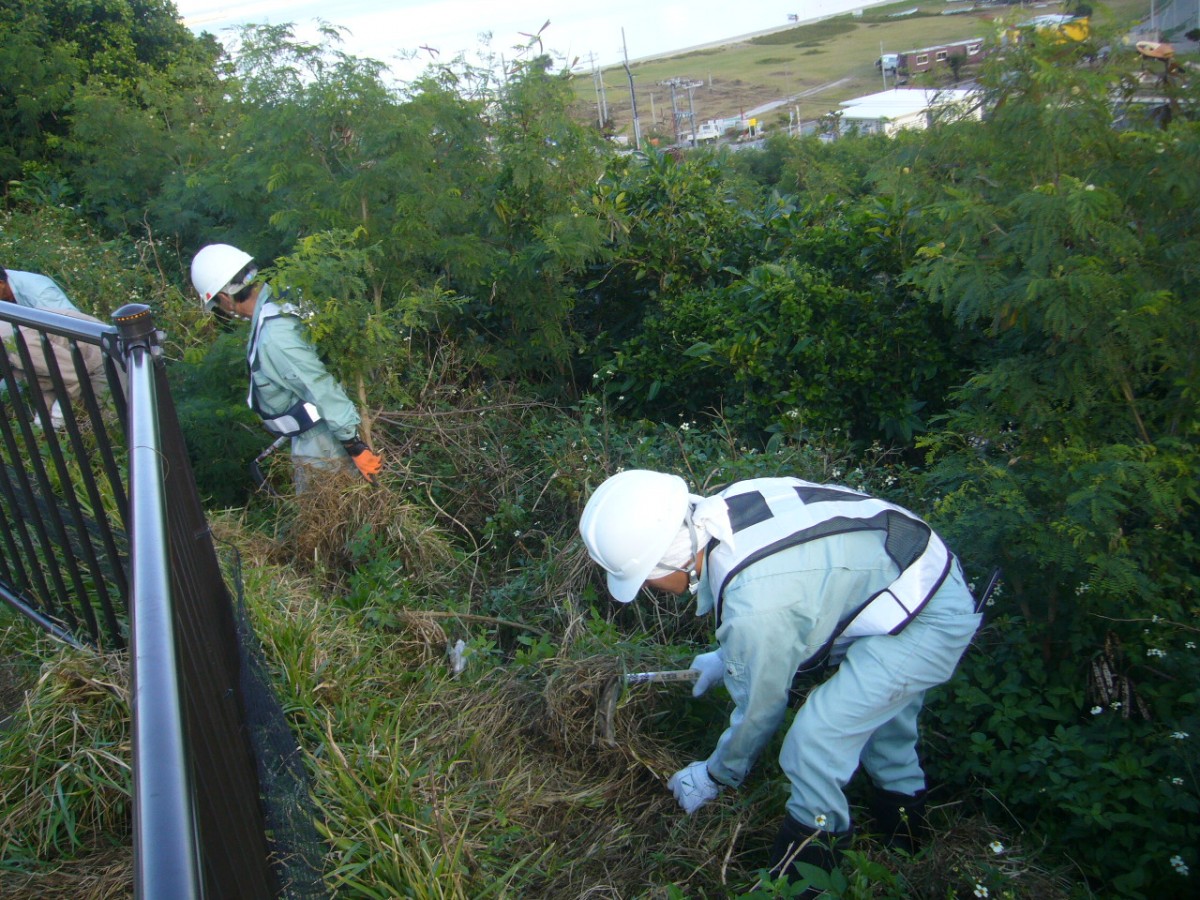 瀬長島連絡協議会の人たちが鎌で草を刈っている写真