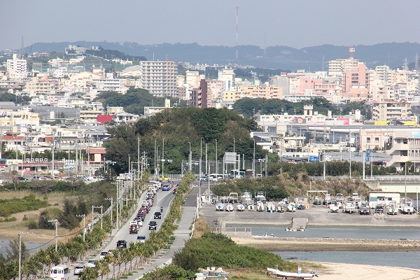 たくさんの車が走っている道と、たくさんの建物が建っている町の中に、こんもりした木の茂みが見える写真