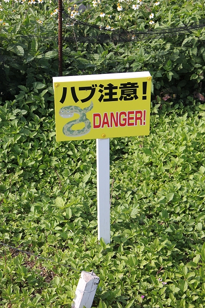 「ハブ注意！DANGER！」と書かれた看板が草地の中に立っている写真