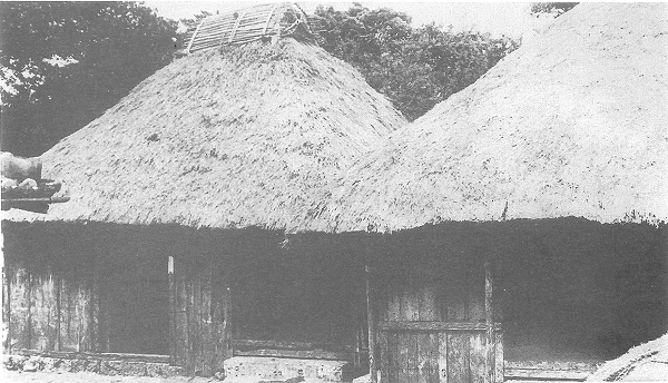 茅葺き屋根の民家が2つ並んで建っている白黒の写真