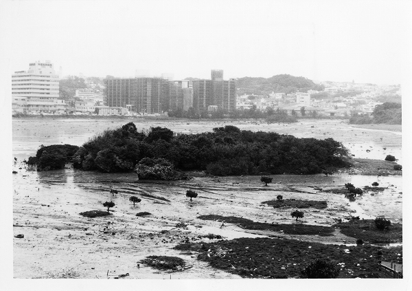大きなマンションや住宅に囲まれた湾の中に、木々に覆われた小さな島が浮かんでいる白黒写真