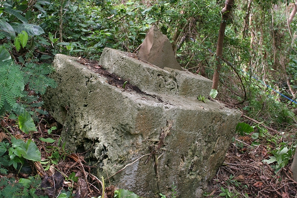 森の中に、四隅がひび割れている石碑が斜めに置かれている写真