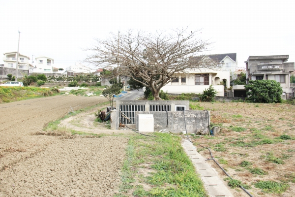 石垣に囲まれた柵の後ろに、葉っぱが落ちた大きな木と住宅街が見える写真